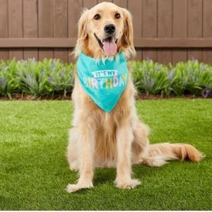 Birthday Bandana for dogs